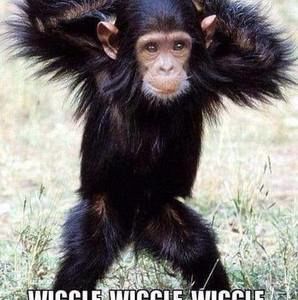 Meet your Posher, Bill